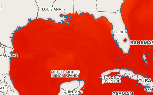 Xweather sea surface temperature map of the Gulf of Mexico